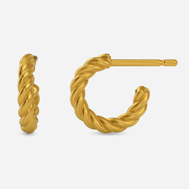 Twisted wire earrings