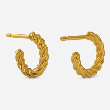 Twisted wire earrings