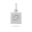 Cancer zodiac pendant