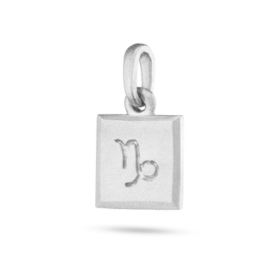 Capricorn Zodiac Pendant - Platinum
