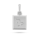 Capricorn zodiac pendant