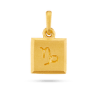 Capricorn zodiac pendant