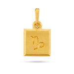 Capricorn zodiac pendant