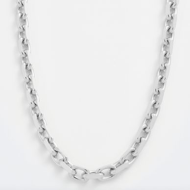 Forte Chain Necklace - Platinum