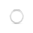 Liquid Metal Signet Ring - Platinum