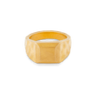 Liquid Metal Signet Ring - Gold 24k