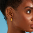 Medium Dome Hoop Earrings - Gold 18k