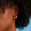 Medium Dome Hoop Earrings - Gold 18k