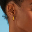 Medium Dome Hoop Earrings - Gold 18k