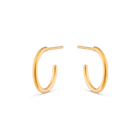 Mini hoop earrings