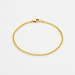 Rolo Chain Bracelet - Gold 24k