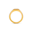 Signet Ring - Gold 24k
