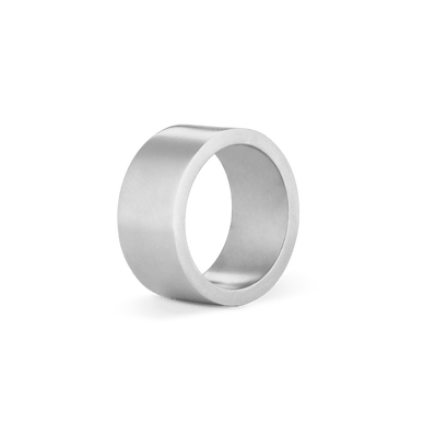 Statement Wide Flat Ring - Platinum