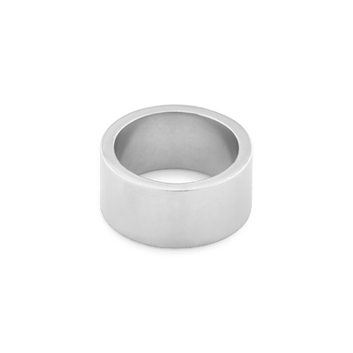Statement Wide Flat Ring - Platinum