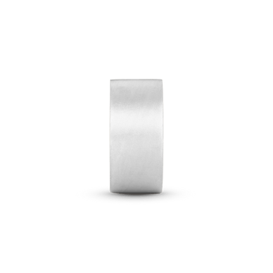 Statement Wide Flat Ring - Platinum