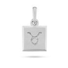 Taurus zodiac pendant