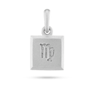 Virgo zodiac pendant