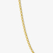 Wide Rolo Chain Necklace - Gold 24k