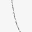 Wide Rolo Chain Necklace - Platinum
