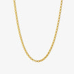 Wide Rolo Chain Necklace - Gold 24k