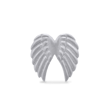 Wings Charm - Platinum