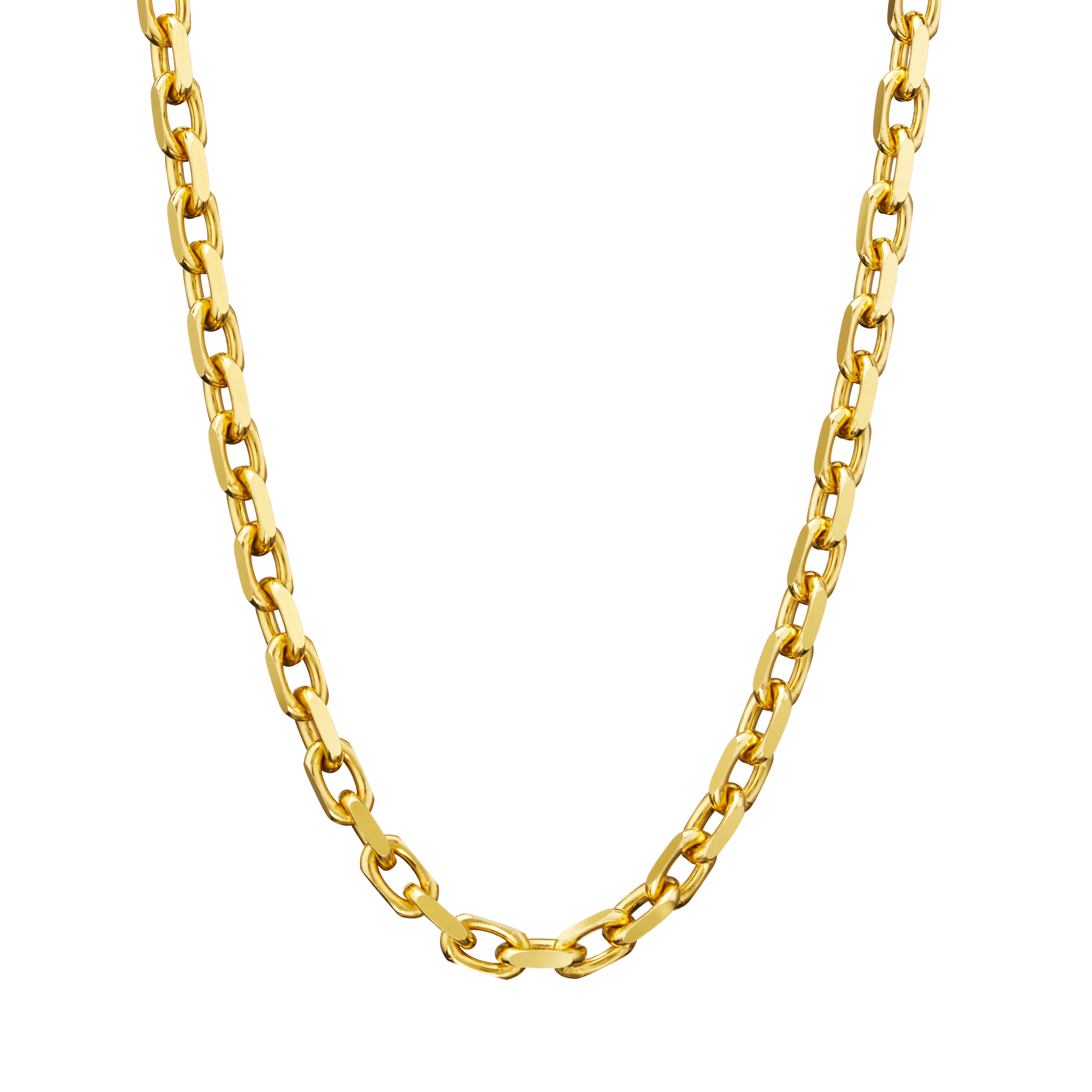 Shop Gold Necklace Chains Forte Chain Necklace