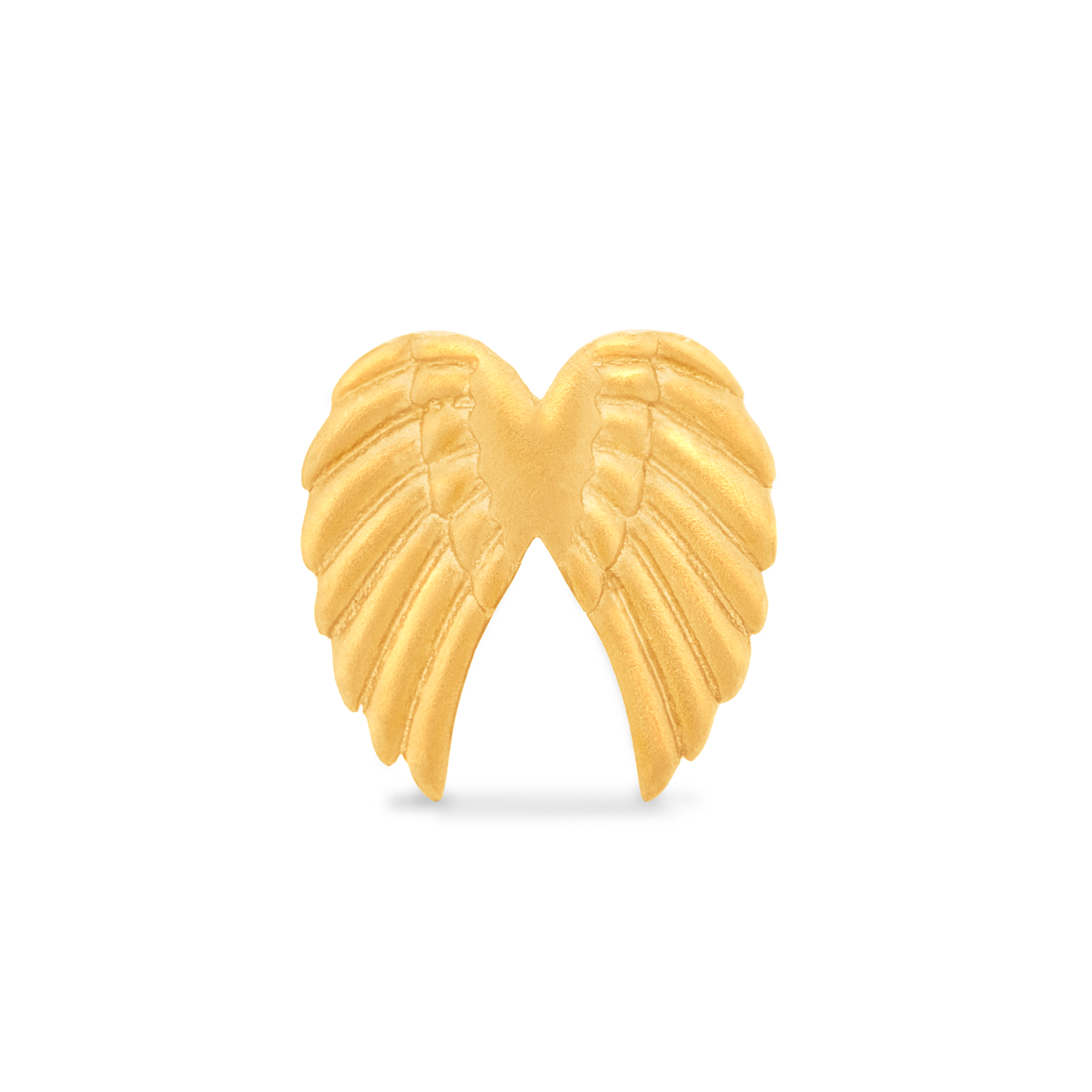 Shop Gold Charms Wings Charm