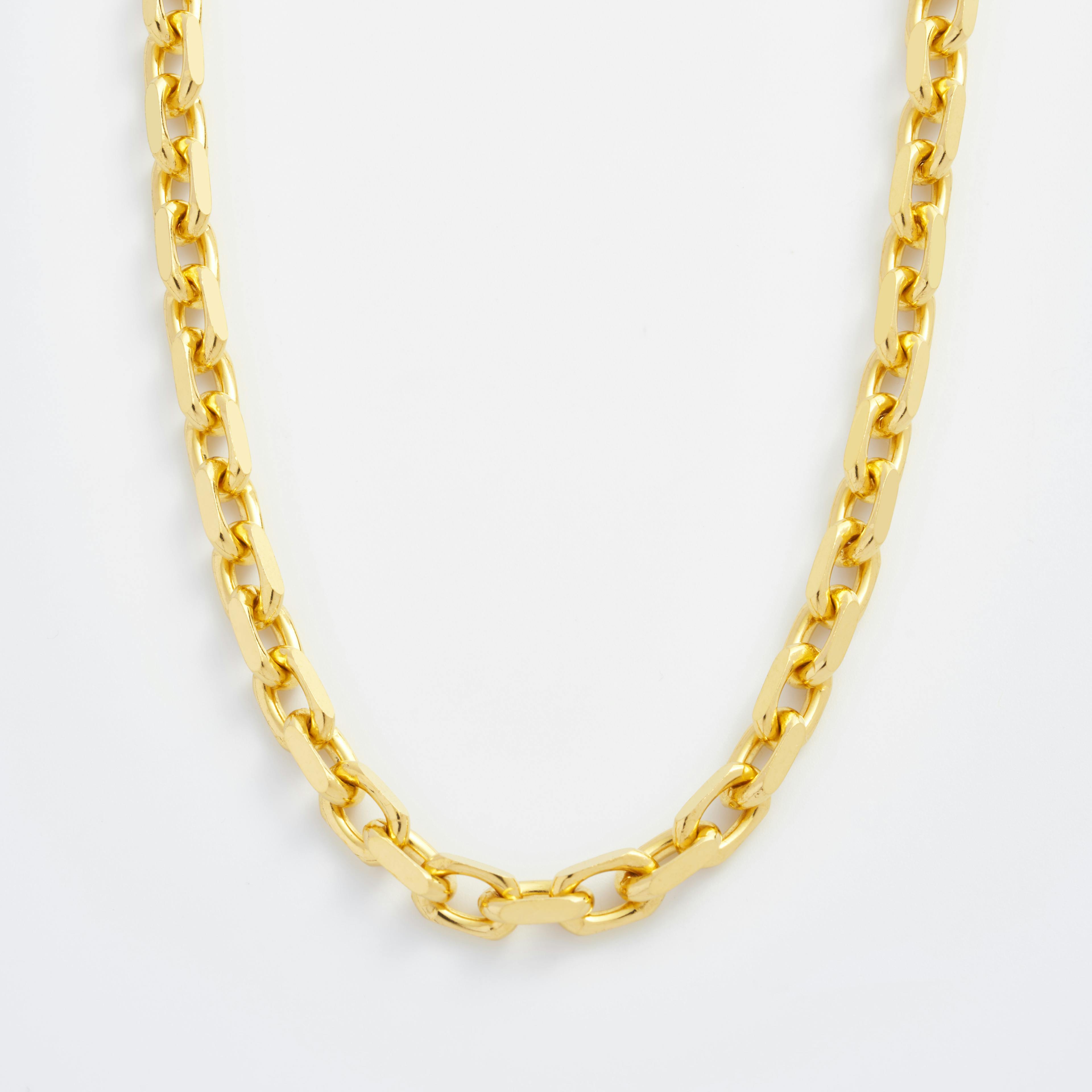 Shop gold Necklaces Forte Chain Necklace