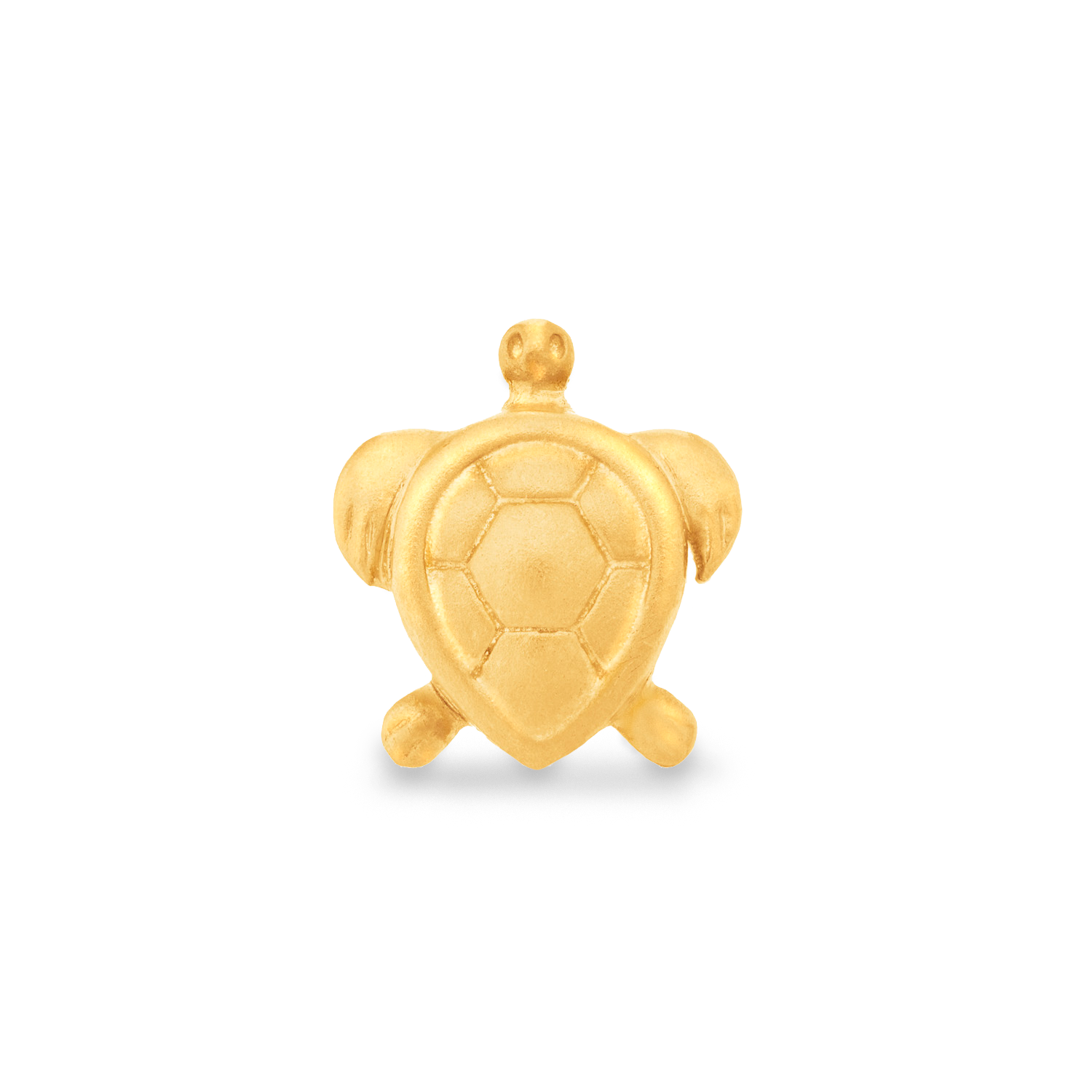 Shop Gold Charms Turtle Charm